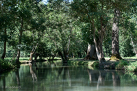 Marais Poitevin 2018.jpg